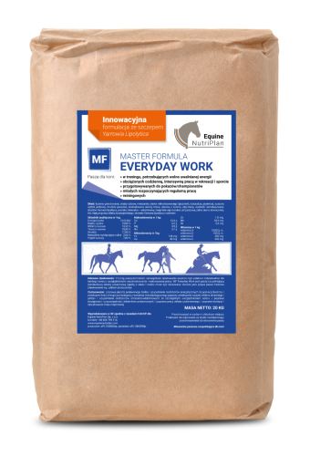 ENP MASTER FORMULA EVERYDAY WORK (20KG)
