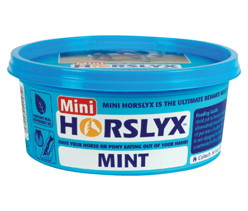 650g  Mini Horslyx Mint
