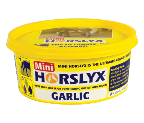 650g Mini Horslyx Garlic